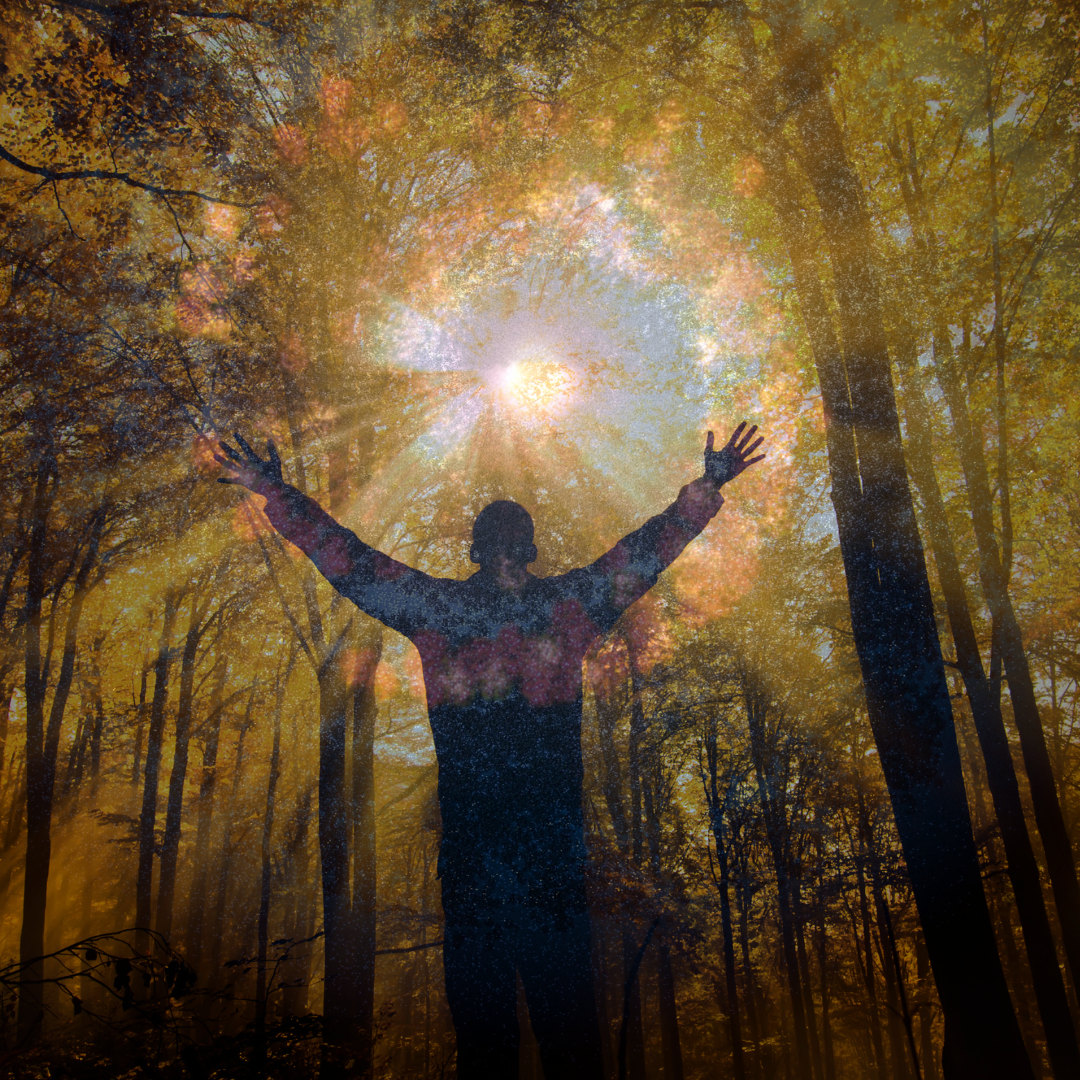 Spiritual Advising Session *Scroll down for explanations*
